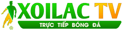 Taobao Shopee - truy tim cup vang
